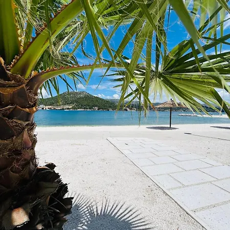 Dodig Maslina Apartman