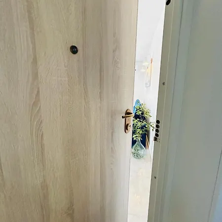 Dodig Maslina Apartman