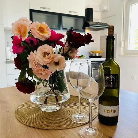Dodig Maslina Apartman