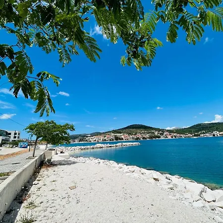 Dodig Maslina Marina