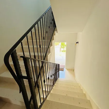 Dodig Maslina * Marina