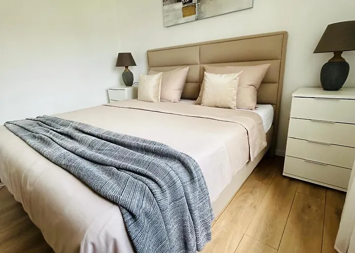 Dodig Maslina Daire Marina