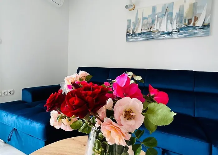 Dodig Maslina Daire *