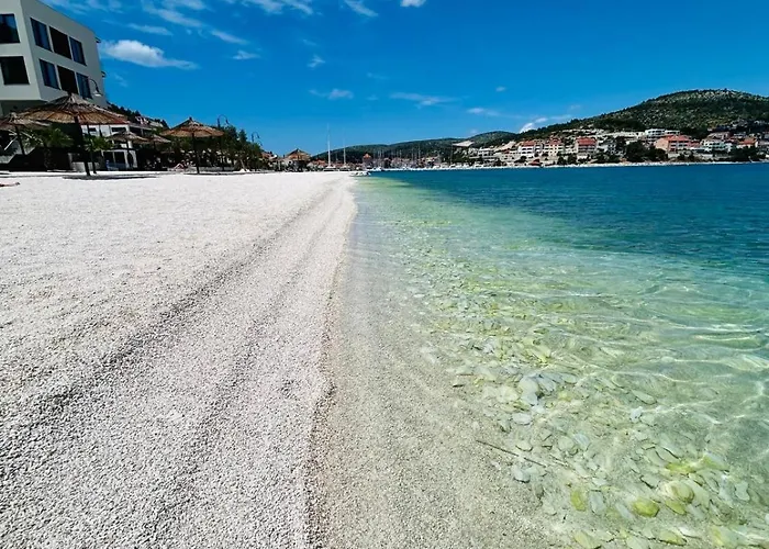 Daire Dodig Maslina *