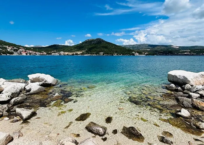 Daire Dodig Maslina *