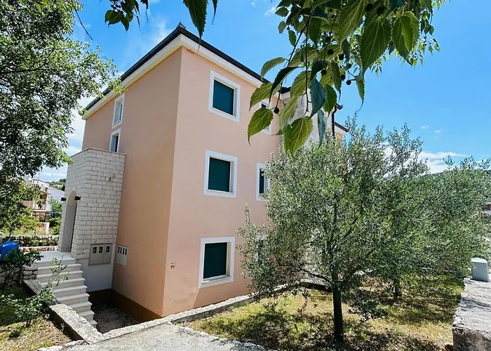 Dodig Maslina Daire *