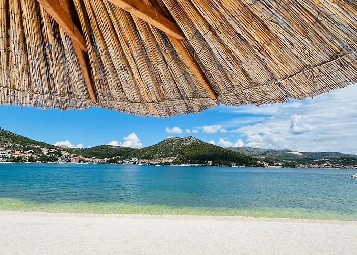 Daire Dodig Maslina *