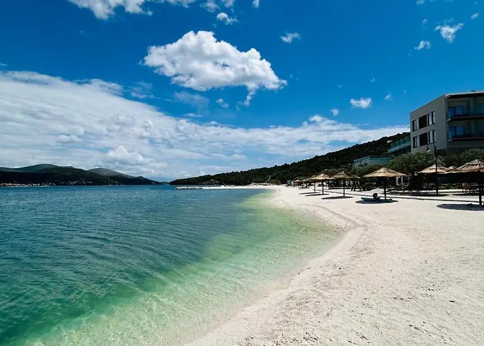 Dodig Maslina Daire *