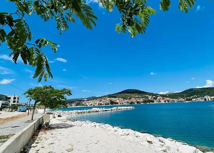 Dodig Maslina Marina