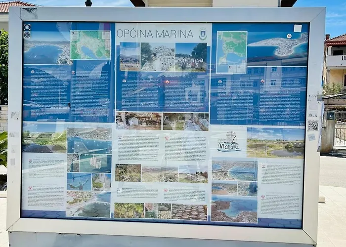 Daire Dodig Maslina *