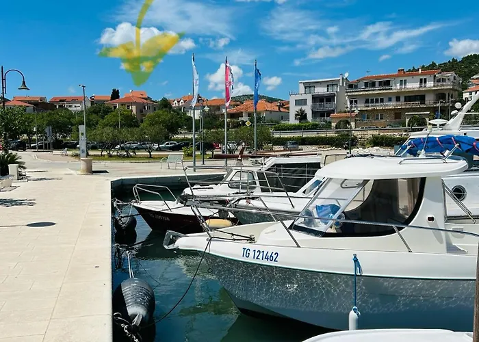 Dodig Maslina Daire Marina