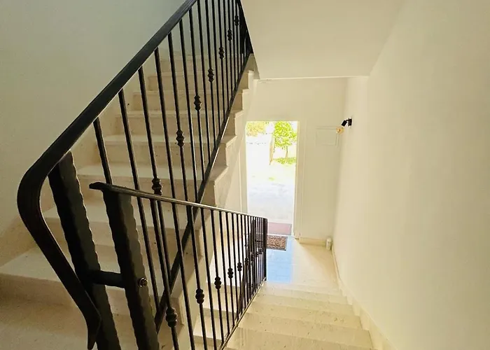 Dodig Maslina * Marina